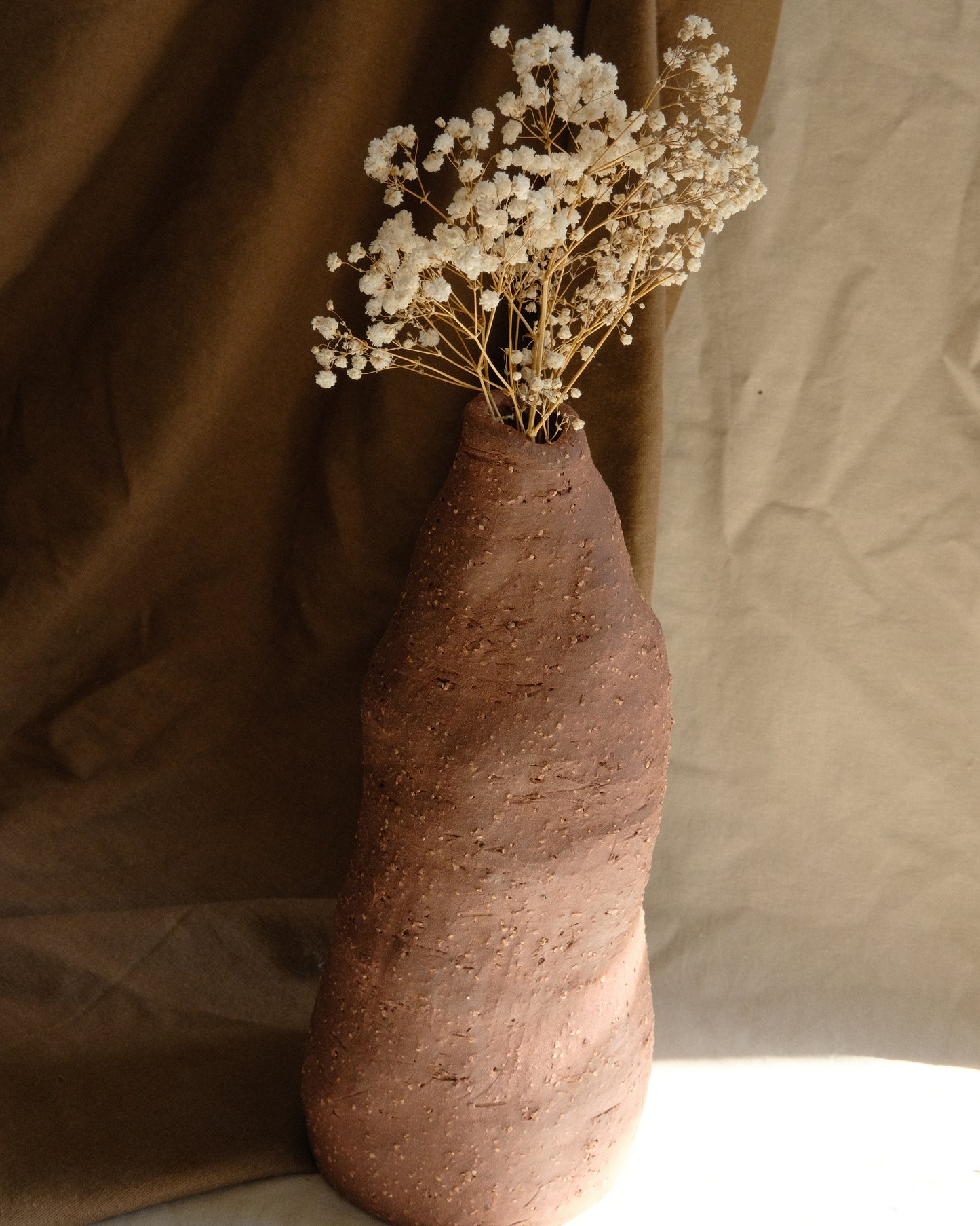 Terra Root