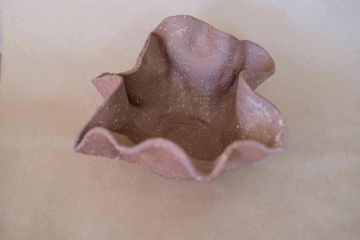 Grounded Bloom bowl