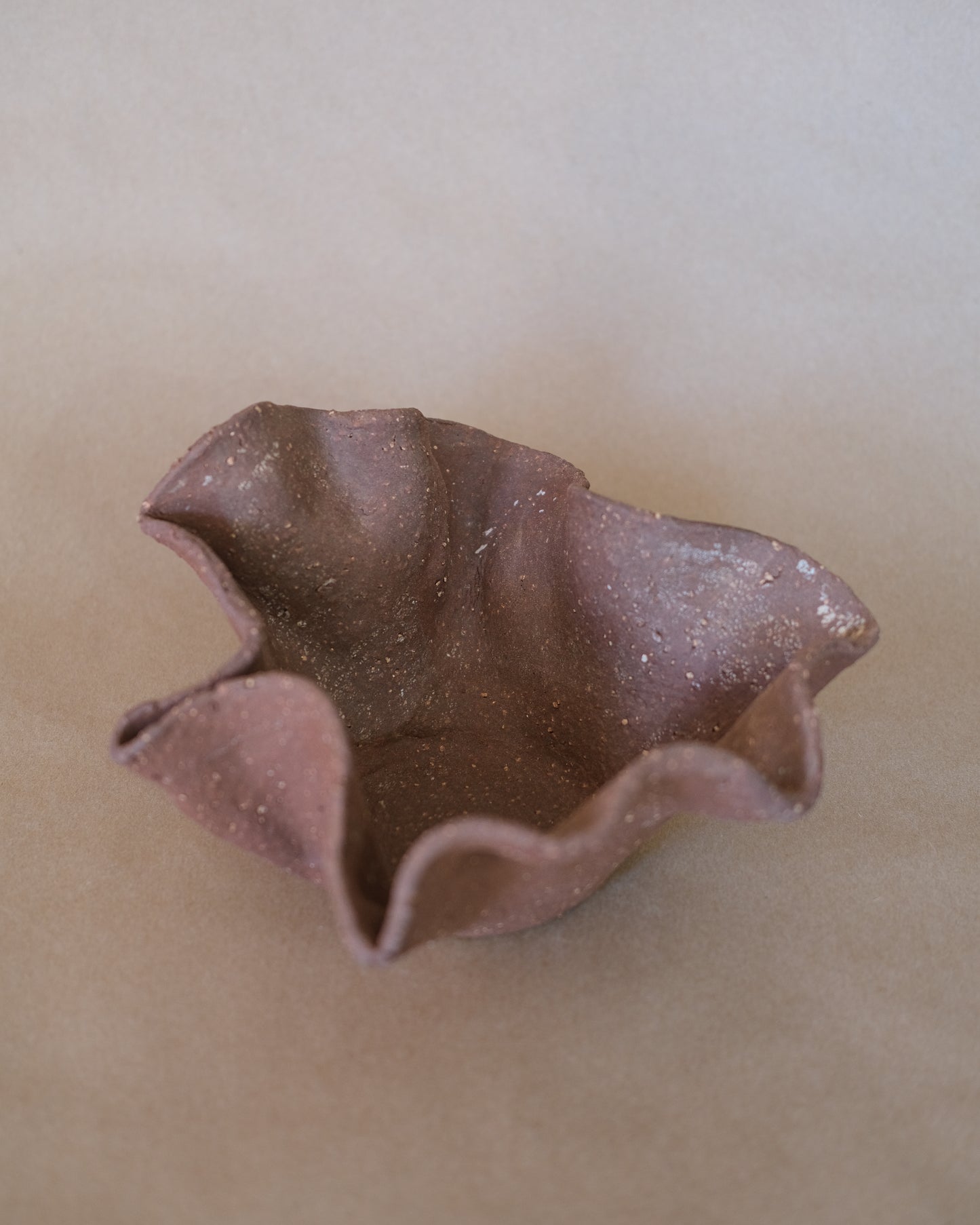 Grounded Bloom bowl